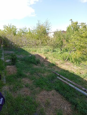 Həyət evləri və villaların satışı: Yaşma bağlarında 12 sot obyekt & həyət evi satılır . 12 sot boydan — 2