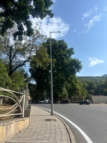 Kirayə torpaq sahələri: 13 sot İşıq — 6