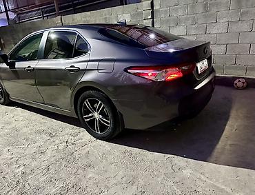 потолок камри 55: Toyota Camry: 2020 г., 2.5 л, Вариатор, Гибрид, Седан — 8
