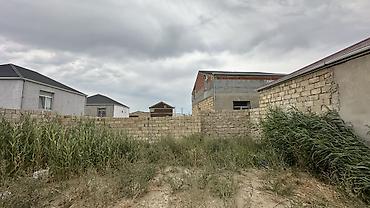 kurdexanida torpaq: Tikinti — 6
