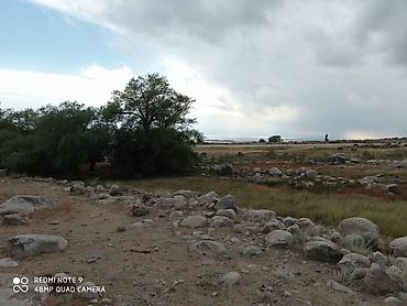 Продажа участков: 30 соток, Красная книга — 22