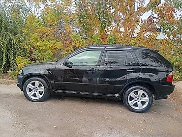 led лампа на авто: BMW X5: 2002 г., Автомат, Кроссовер — 10