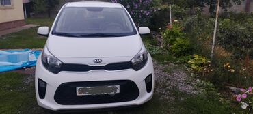 авто в рассрочку без банка без первоначального взноса в бишкеке: Kia Morning: 2018 г., 1 л, Автоматтык, Бензин