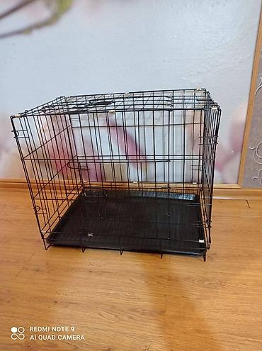 Зоотовары: Продаются клетки для хомячков, кроликов, морских свинок, Есть — 18