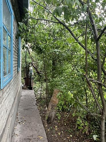 Земельные участки: 6 соток, Красная книга, Тех паспорт — 4