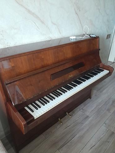 Rösler vertikal pianino - Brend/model: Rösler upright - Korpus lalafo.az -da Rösler vertikal pianino - Brend/model: Rösler upright - Korpus