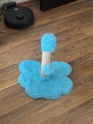 pişik şekli cekmek: Игрушка для кошек новая — 1