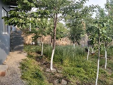neftçala ev: Sumqayıt, 5000 kv. m, 8 otaq, Hovuzsuz, İnternet, Telefon, Qaz — 8