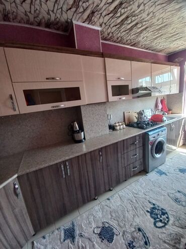 Комнатные растения: Mətbəxt satılır 350 manata 4.80 dın 2 metirə ünvan Qala kəndi &