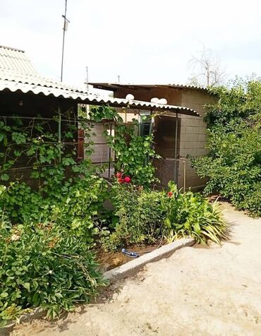 аренда частного дома на длительный срок: Дом, 80 м², 3 комнаты, Риэлтор