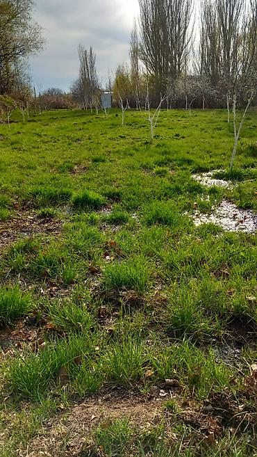 Продажа коттеджей и домов: 🏡Продаётся дом с участком в живописном селе Кара-Ой, на побережье — 21