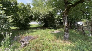 Torpaq sahələrinin satışı: Tikinti — 17