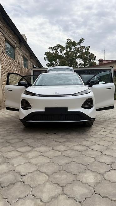 полик для машин: Changan Qiyuan Q05: 2026 г., Автомат, Электромобиль, Кроссовер — 9