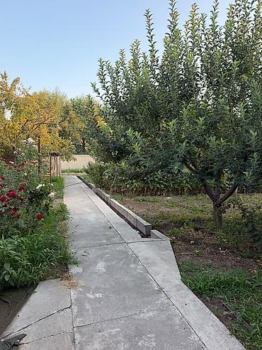 Долгосрочная аренда домов: 154 м², 5 комнат — 31