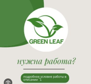 госрегистр график работы: Салам🙋‍♀️, мен Асель ! Greenleaf ☘️компаниясында иштеп жатканыма 3