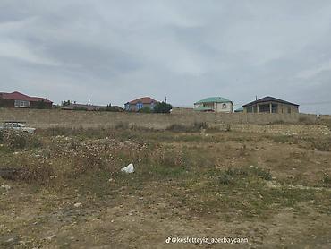 sarayda torpag: 9 sot, Tikinti, Maklerlər narahat etməsin, Kupça (Çıxarış) — 3