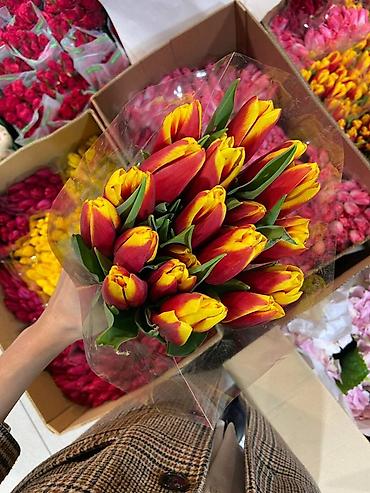 Букеты из живых цветов: Тюльпаны срезанные, свежие, прямые поставки. - Ассортимент — 6