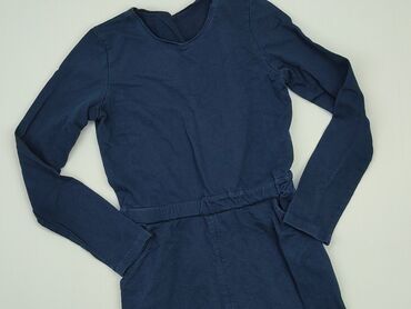 jesienna sukienki: Dress, XS (EU 34), condition - Good