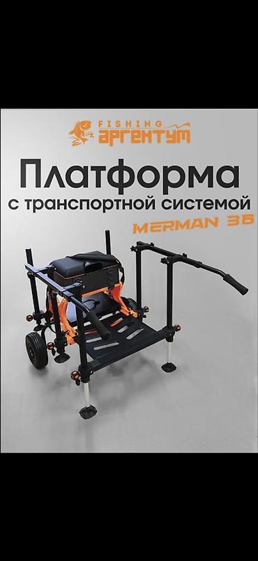 водный мото: Полный карповый комплект ESHARK — готов к рыбалке “из коробки” Состав — 2