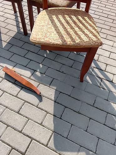 Другие животные: Ремонт перетяжка стулья — 21