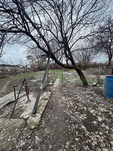 Продажа коттеджей и домов: 🔷 Продаётся дом в с. Новопавловка 📍 Ул. Свердлова, выше трассы 800м 🔷 — 11