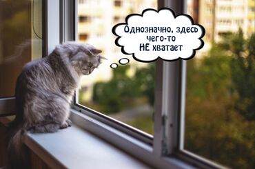 Jalüzlər: Jaluz-agcaqanaq toru. Pəncərə və qapılar üçün ağcaqanad torları — 12