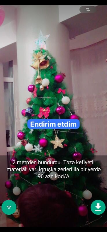 Yeni il ağacları: Yolkalar şaxda baba sekillerde qiymət məlumat qeyd olunub unvan Gence -da lalafo.az — 26 Yeni il ağacları: Yolkalar şaxda baba sekillerde qiymət məlumat qeyd olunub unvan Gence — 26