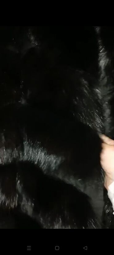 Kürklər: Kurk Biset .temiz tulku tukudur mexli S.L.M razmerlere gedir -da lalafo.az — 6 Kürklər: Kurk Biset .temiz tulku tukudur mexli S.L.M razmerlere gedir — 6