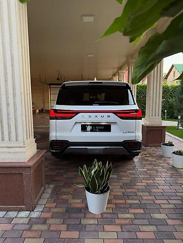 парктроники лексус: Lexus LX: 2025 г., Автомат, Внедорожник — 7