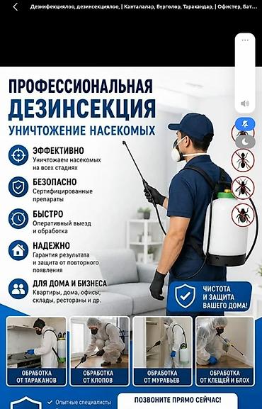 уборка бишкек: Профессиональная дезинсекция — уничтожение насекомых - Эффективная — 1