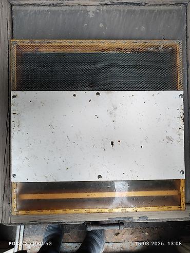 Другие хозтовары: ПРОДАМ Пчелопавилион. Нуклеусы. Лежаки. Медогонку Грановского at lalafo.kg — 5 Другие хозтовары: ПРОДАМ Пчелопавилион. Нуклеусы. Лежаки. Медогонку Грановского — 5