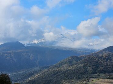 Günlük kirayə evlər: 350 kv. m, 3 otaqlı, Qaz — 16