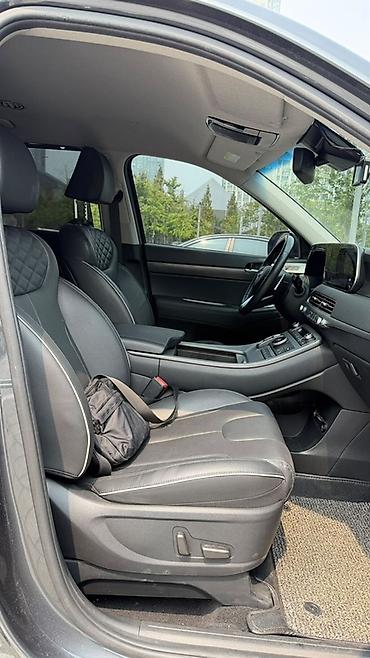 подсветка салона авто: Hyundai Palisade: 2020 г., 2.2 л, Автомат, Дизель, Кроссовер — 10
