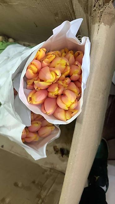 Букеты из живых цветов: В оптомв розницу — 1