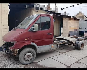 Mercedes-Benz: Mercedes-Benz Спринтер: 2025 г. — 16