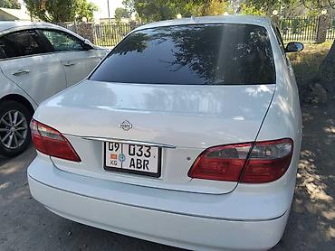 216 65 16: Nissan Cefiro: 1999 г., 2.5 л, Автомат, Бензин, Седан — 8