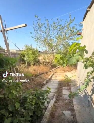 купить недвижимость в баку: Tikinti, Mülkiyyətçi, Bələdiyyə