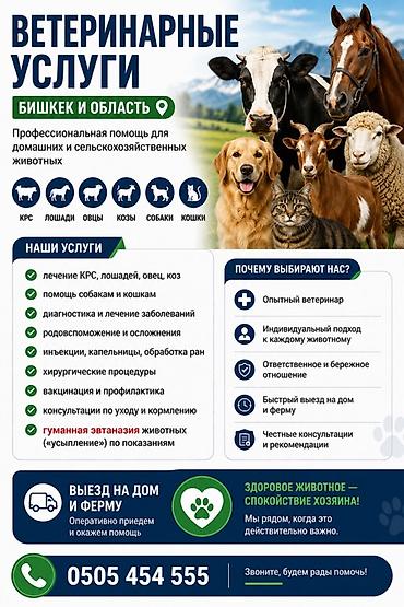 Ветеринар кызматы: 🐾 ВЕТЕРИНАРНЫЕ УСЛУГИ — БИШКЕК И ОБЛАСТЬ Профессиональная — 1
