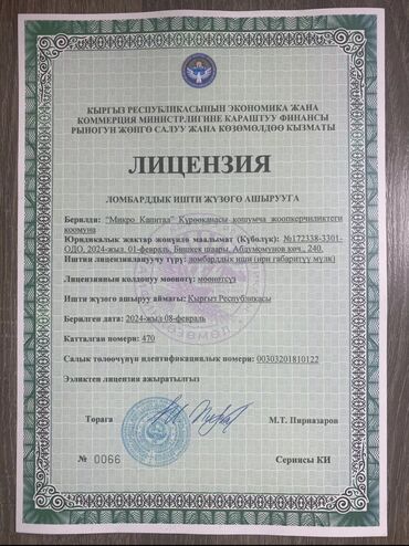bystryj-id-78694951-837212931.jpeg
