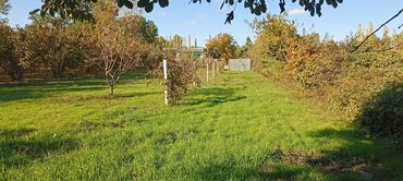 Torpaq sahələrinin satışı: 58 sot, Kənd təsərrüfatı, Barter mümkündür, Kupça (Çıxarış) — 16