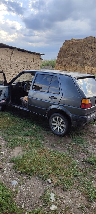 09 машина: Volkswagen Golf: 1991 г., 1.9 л, Механика, Дизель, Хэтчбэк