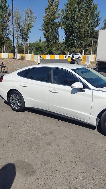 соната желтый: Hyundai Sonata: 2020 г., Автомат, Газ, Седан — 4