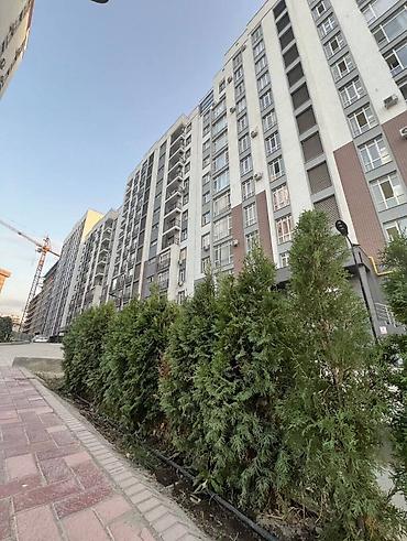 1 комната, 44 м², АУЦА Элитка, 12 этаж, ПСО (под самоотделку) at lalafo.kg 1 комната, 44 м², АУЦА Элитка, 12 этаж, ПСО (под самоотделку)