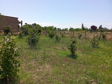 Torpaq sahələrinin satışı: 8 sot, Tikinti, Mülkiyyətçi, Texniki pasport — 9