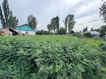 с хоз назначения: 4 соток, Курулуш, Кызыл китеп