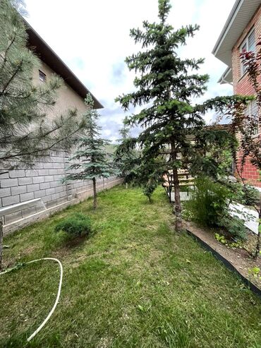 Продажа домов: Дом, 270 м², 6 комнат, Собственник, Евроремонт — 5