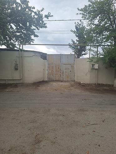 Torpaq sahələrinin satışı: 6 sot, Kupça (Çıxarış) — 7