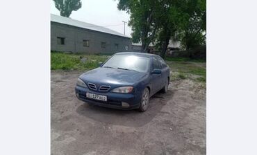 болушу: Nissan Primera: 1.8 л, Механика, Бензин, Седан