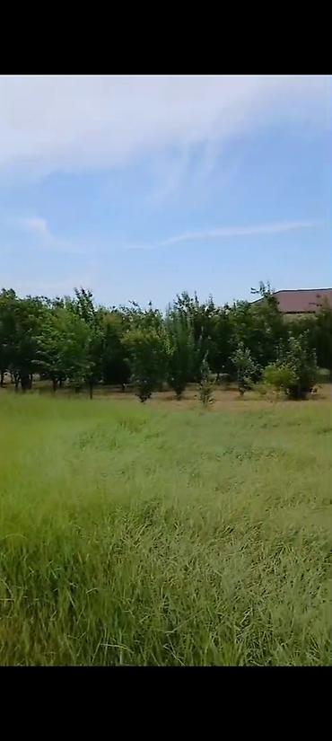 kend ehmedlide torpaq: 12 sot, Mülkiyyətçi, Kupça (Çıxarış) — 1