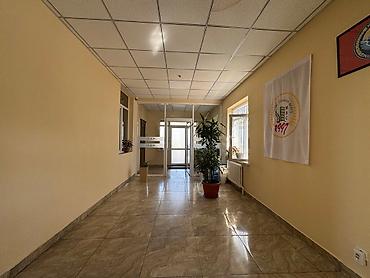 Продажа офисов: Продажа офисов 360 м², С ремонтом, С мебелью, Административное здание, 1 этаж — 14